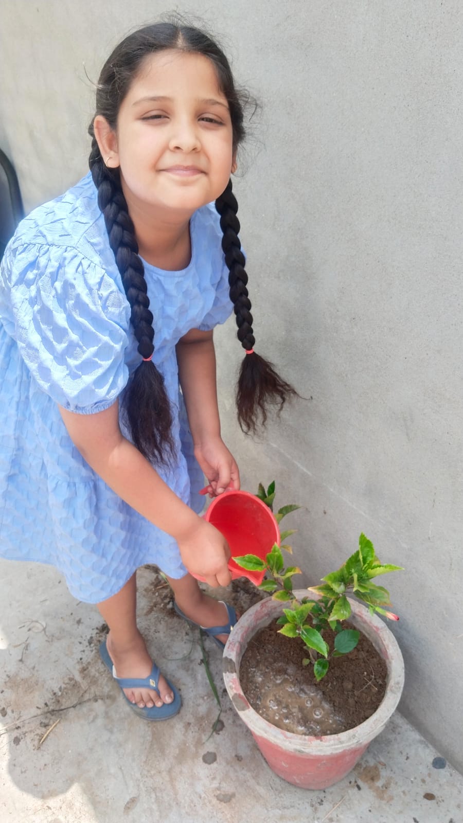 WORLD ENVIRONMENT DAY